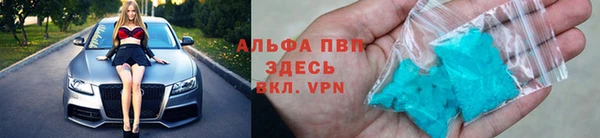 стафф Михайловск