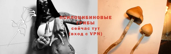 стафф Михайловск