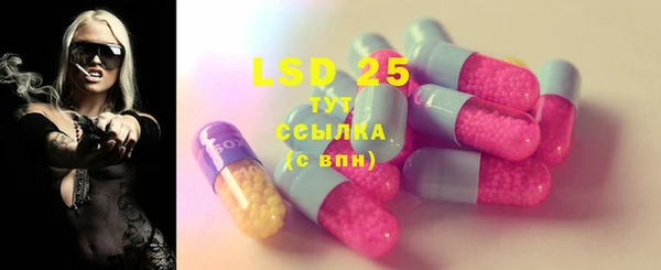 стафф Михайловск