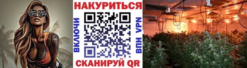 Конопля Amnesia  Талица 